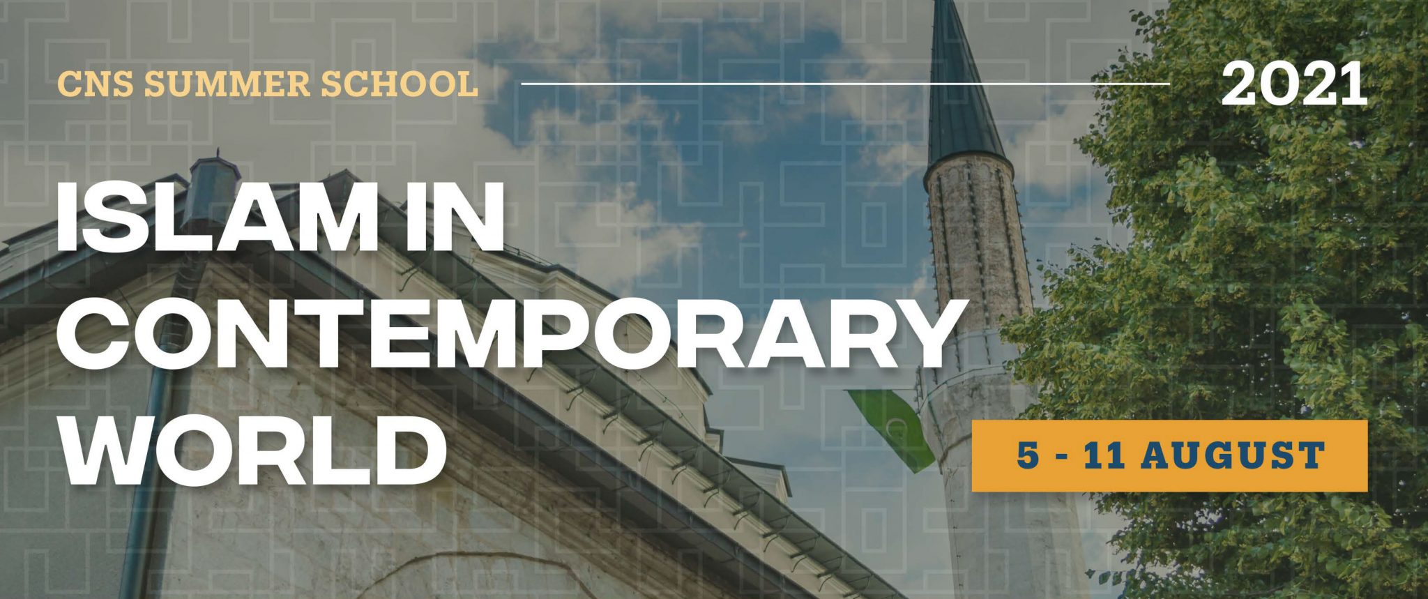 Call for Applications: CNS Summer School 2021